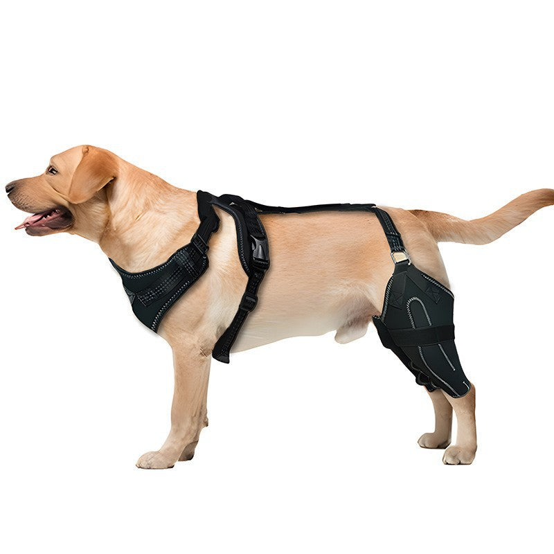Pet protective gear dog hind leg double protective gear thigh protective cover